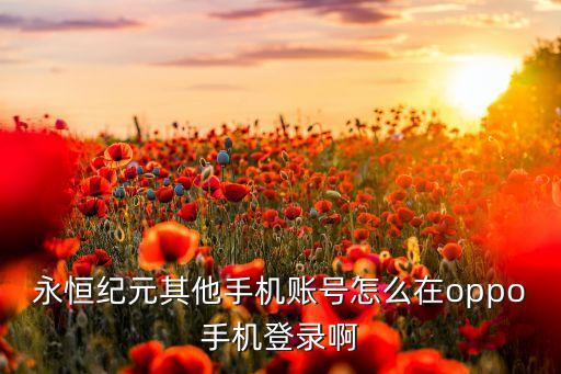 永恒纪元其他手机账号怎么在oppo手机登录啊