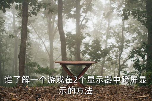 谁了解一个游戏在2个显示器中跨屏显示的方法