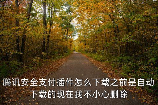 腾讯安全支付插件怎么下载之前是自动下载的现在我不小心删除