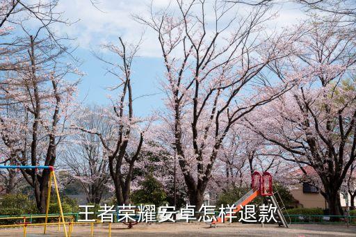 手游王者怎么退款，王者荣耀安卓手机怎么退款