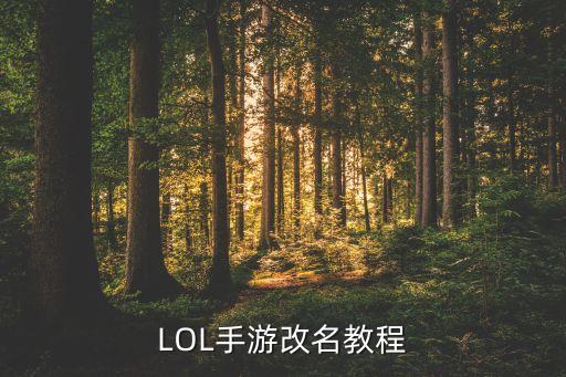 英雄联盟手游的游戏名怎么改，LOL手游改名方法一览