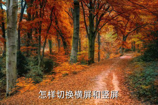 怎样切换横屏和竖屏