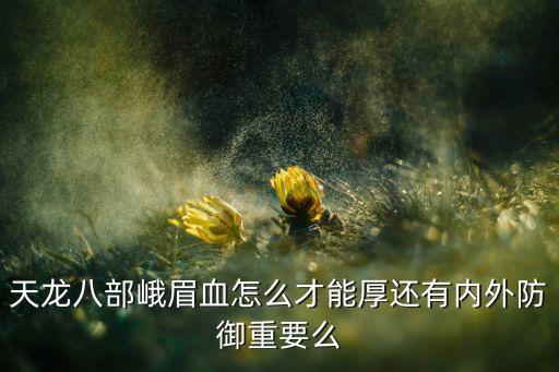 手游天龙八部峨眉怎么提高血量，峨眉怎么搞可以提高自己的血让血更多啊