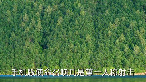 手机版使命召唤几是第一人称射击