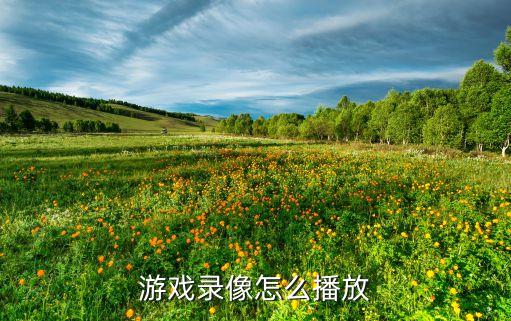 游戏录像怎么播放