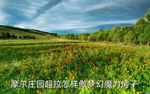 摩尔庄园超拉怎样做梦幻魔力房子