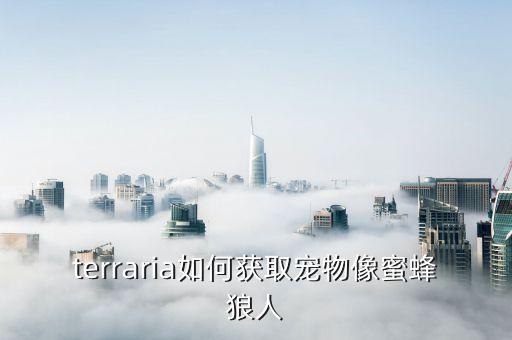 terraria如何获取宠物像蜜蜂狼人