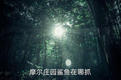 摩尔庄园鲨鱼在哪抓