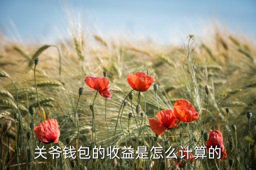 火影忍者手游钱包金额怎么算，关爷钱包的收益是怎么计算的