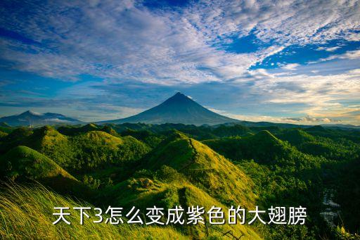 天下3怎么变成紫色的大翅膀