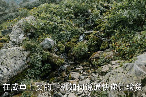 在咸鱼上买的手机如何说通快递让验货