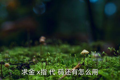 求金 x指 代 码还有怎么用