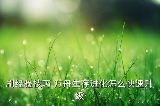 刷经验技巧 方舟生存进化怎么快速升级