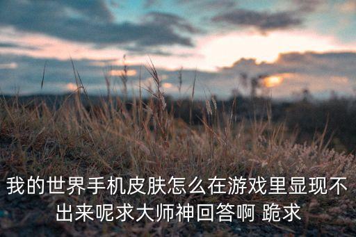 我的世界手机皮肤怎么在游戏里显现不出来呢求大师神回答啊 跪求