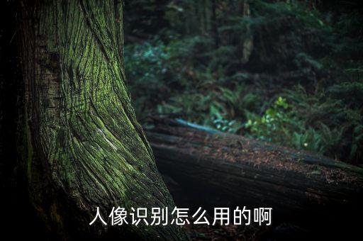 人像识别怎么用的啊