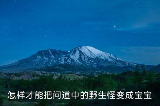 问道手游怎么改装宝宝，问道里怎样能把野生的宠物变成宝宝了