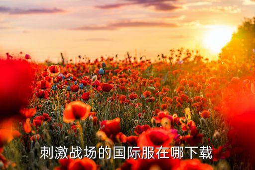 刺激战场的国际服在哪下载