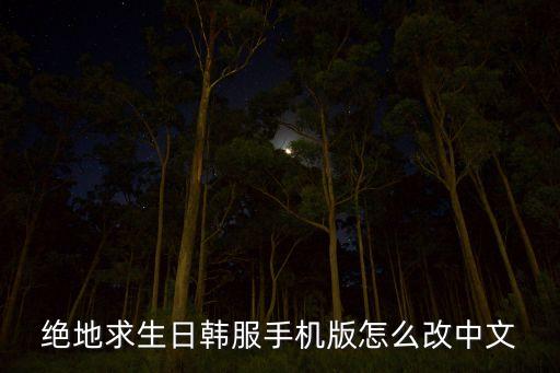 绝地求生日韩服手机版怎么改中文