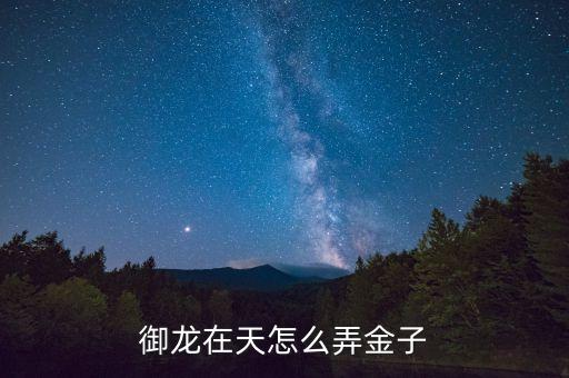 御龙在天怎么弄金子