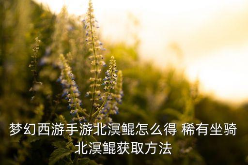 梦幻西游手游北溟鲲怎么得 稀有坐骑北溟鲲获取方法