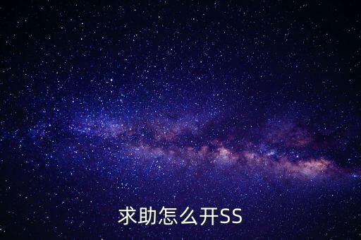 求助怎么开SS