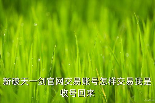 新破天一剑官网交易账号怎样交易我是收号回来