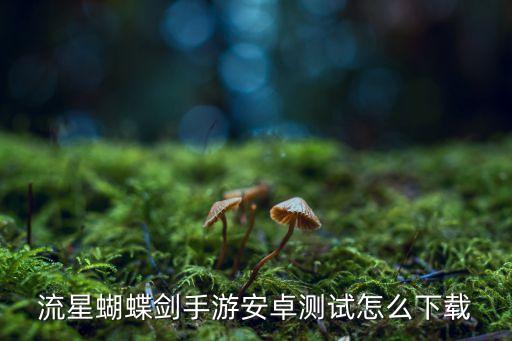 流星蝴蝶剑手游安卓测试怎么下载