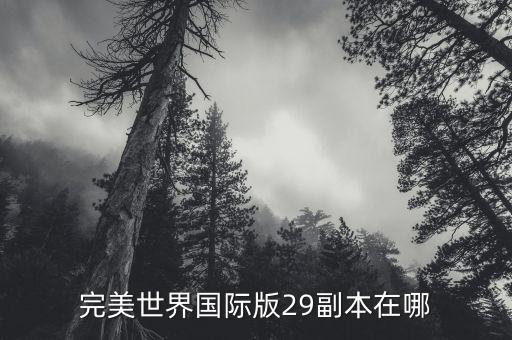 完美世界国际版29副本在哪