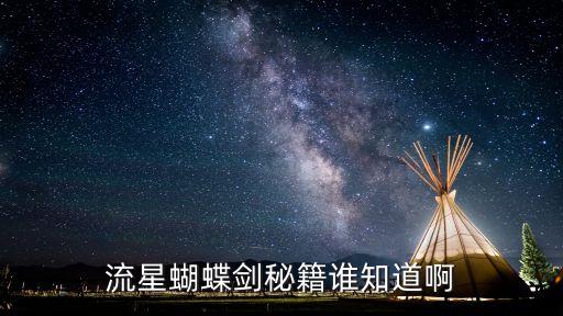 流星蝴蝶剑秘籍谁知道啊