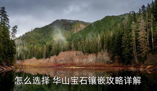怎么选择 华山宝石镶嵌攻略详解