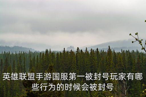 英雄联盟手游国服第一被封号玩家有哪些行为的时候会被封号