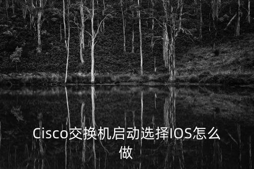 Cisco交换机启动选择IOS怎么做