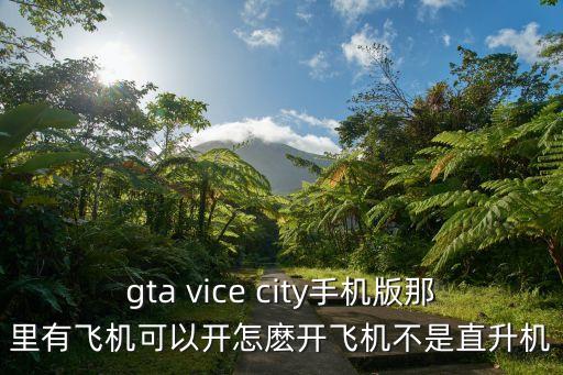 gta vice city手机版那里有飞机可以开怎麽开飞机不是直升机