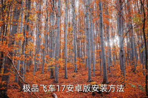 手游极品飞车17怎么安装，极品飞车17下载后怎么安装根本不会啊啊