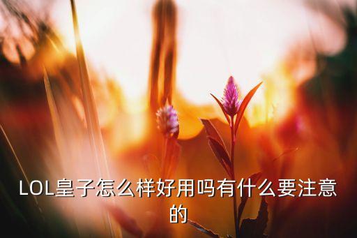 LOL皇子怎么样好用吗有什么要注意的