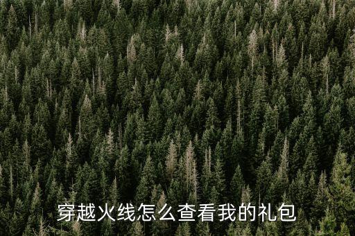 cf手游怎么查找安全礼包，cf安全礼包领取完了得去哪里找啊