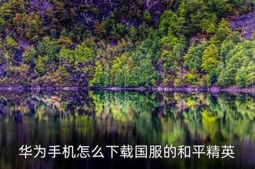 华为手机怎么下载国服的和平精英