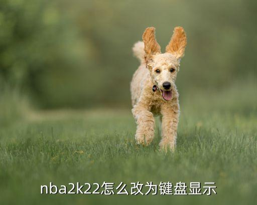 nba2k22怎么改为键盘显示