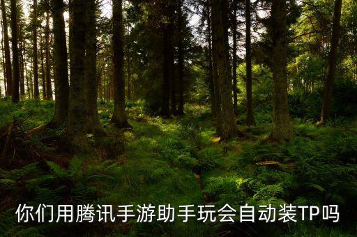 你们用腾讯手游助手玩会自动装TP吗