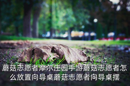 蘑菇志愿者摩尔庄园手游蘑菇志愿者怎么放置向导桌蘑菇志愿者向导桌摆