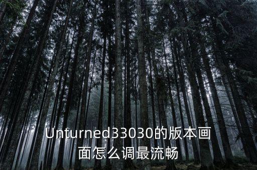 Unturned33030的版本画面怎么调最流畅