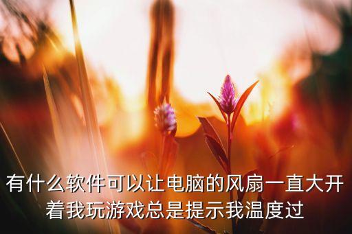 有什么软件可以让电脑的风扇一直大开着我玩游戏总是提示我温度过