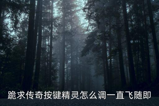 跪求传奇按键精灵怎么调一直飞随即