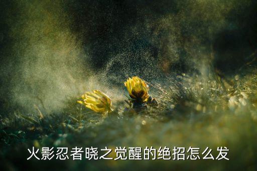 火影忍者手游晓之觉醒技能怎么学，火影忍者晓之觉醒 技能怎么学啊
