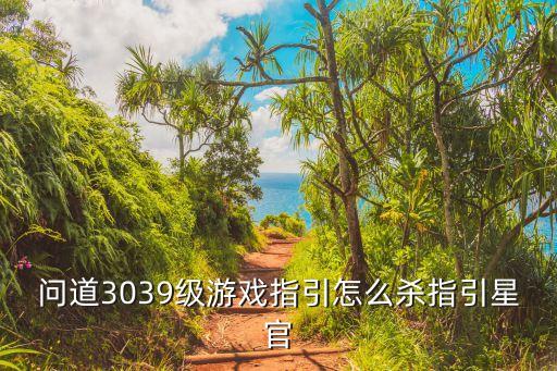 问道3039级游戏指引怎么杀指引星官