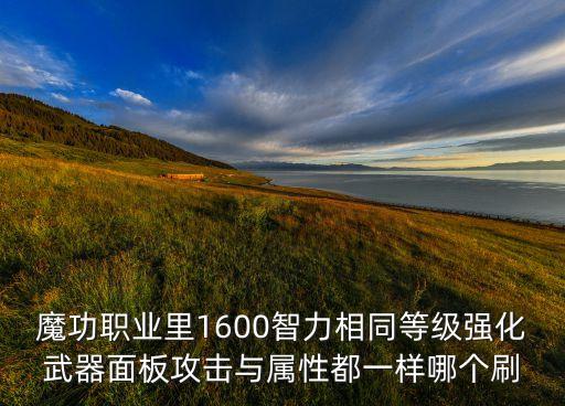 魔功职业里1600智力相同等级强化武器面板攻击与属性都一样哪个刷