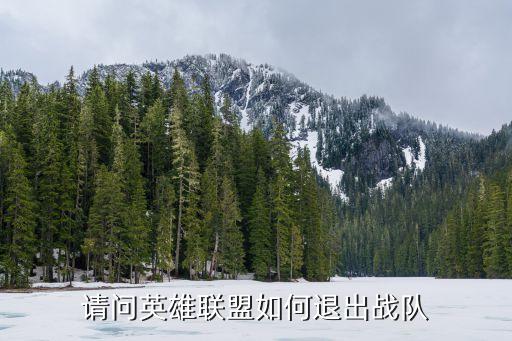 请问英雄联盟如何退出战队