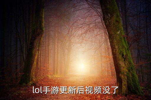 lol手游更新后视频没了