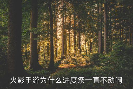 火影手游为什么进度条一直不动啊