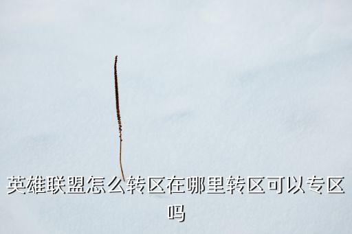 英雄联盟怎么转区在哪里转区可以专区吗